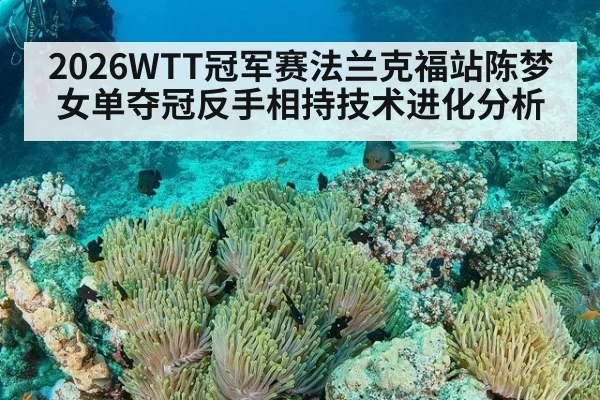 2026WTT冠军赛法兰克福站陈梦女单夺冠反手相持技术进化分析